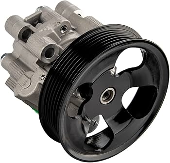 Pompes de direction assistée